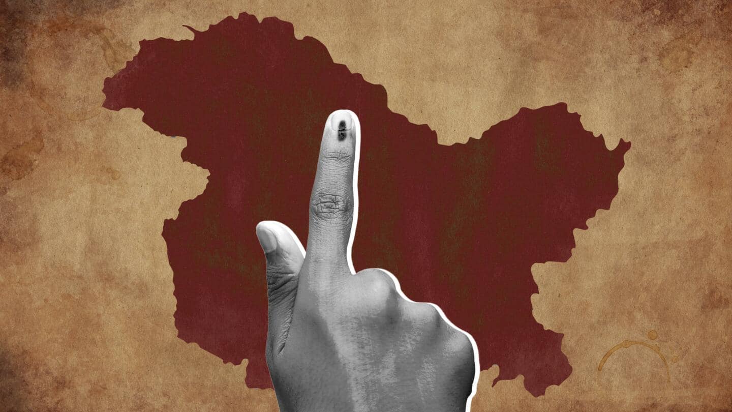 Local body polls: Re-polling in Kashmir as PoK candidates contested