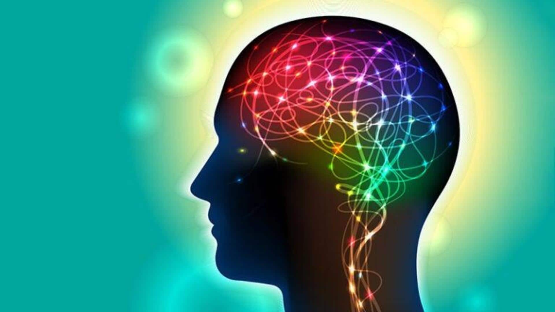 Scientists discover how memories are preserved in human brain