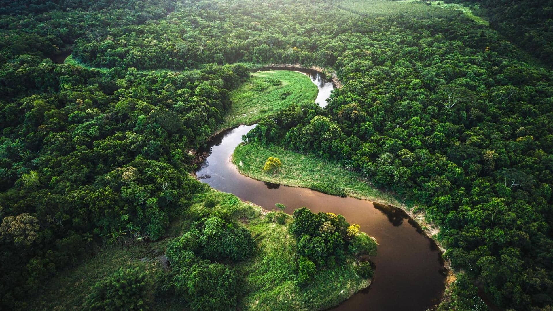 Unveiling the mysteries of Amazon rainforest, Brazil