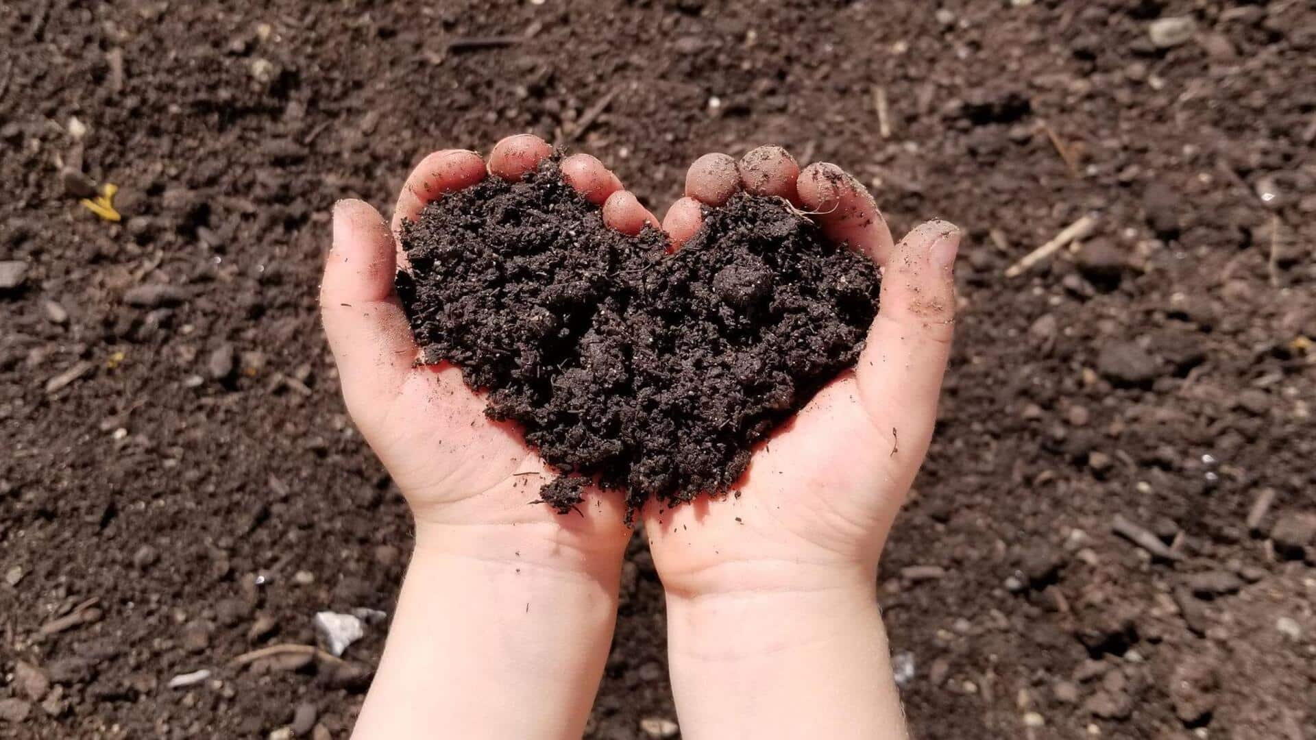 Go green with homemade compost projects, inspire kids