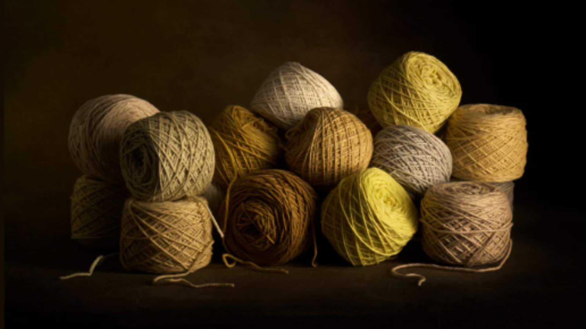 Crafting chic with biodynamic wool