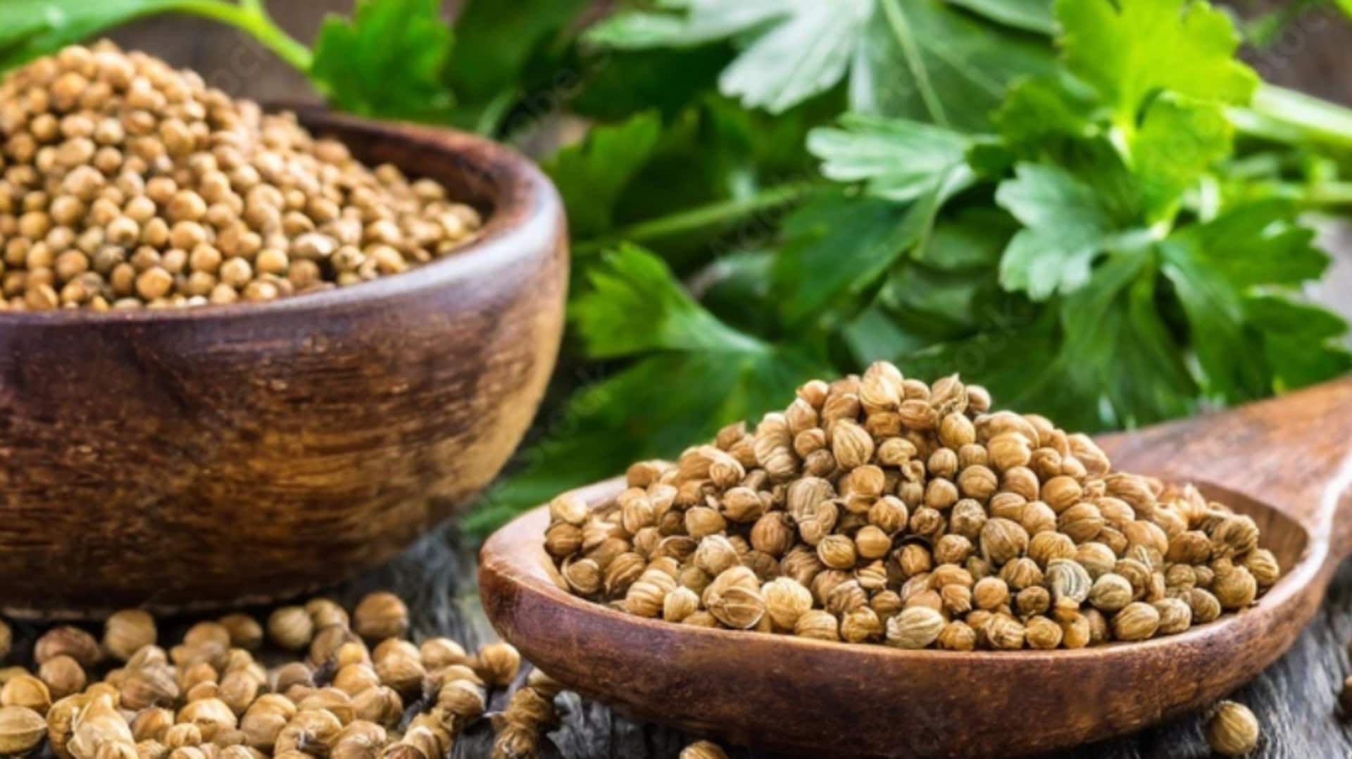 Coriander seeds: your secret to delicious meals Coriander seeds: your secret to delicious meals