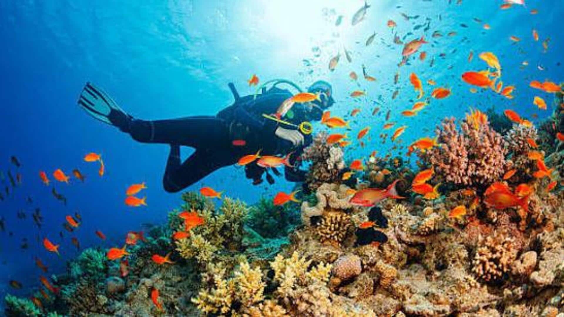 Cape Verde: The Atlantic's diving hotspot 