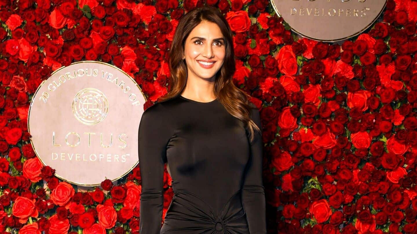 'Have not attained...': Vaani Kapoor on Bollywood gender pay gap 'Have not attained...': Vaani Kapoor on Bollywood gender pay gap