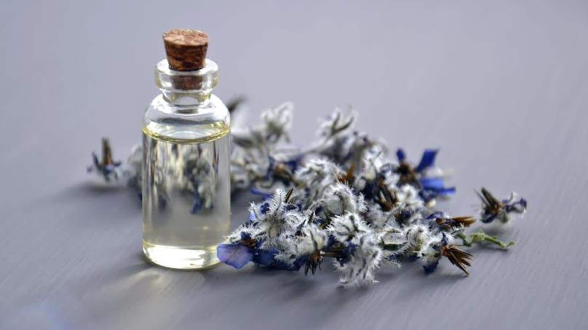 How to effectively use lavender oil to improve focus