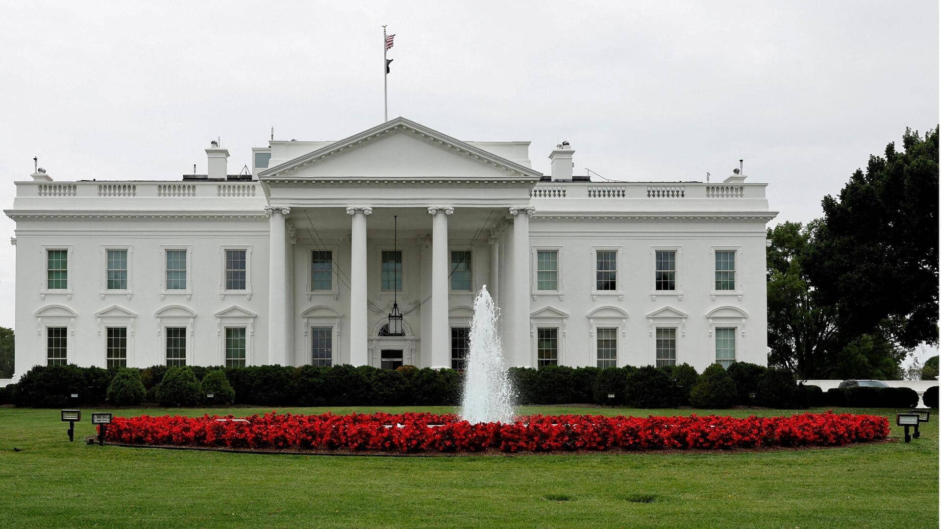 Shocker! 'Epstein Island' tag appears on White House phone number