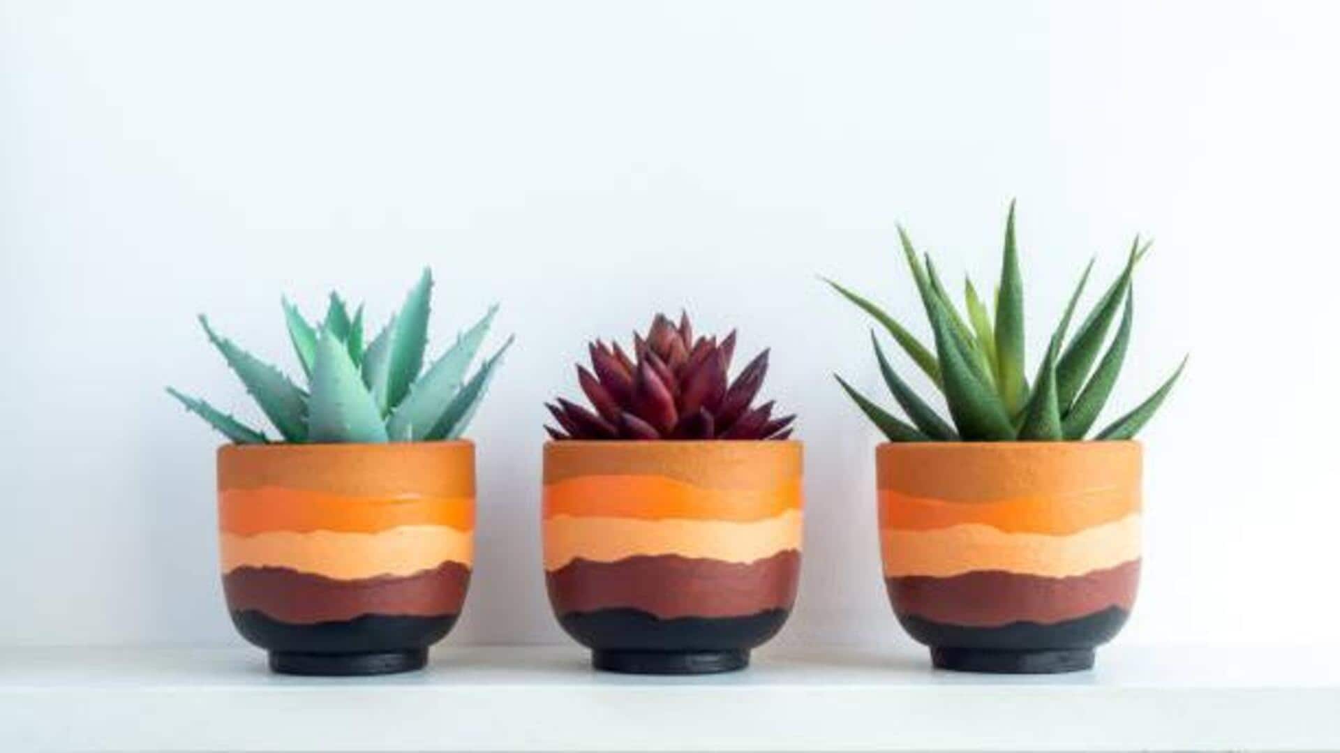 African clay planters: A unique choice for plant lovers 
