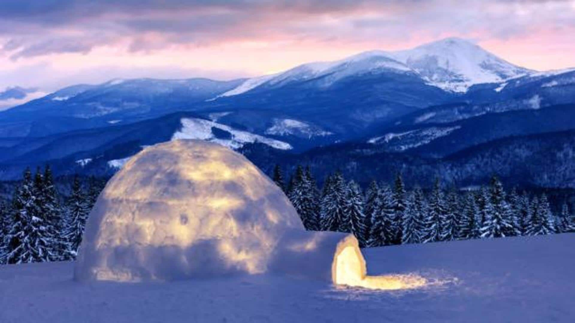 Want to survive the Arctic? Master igloo building first 