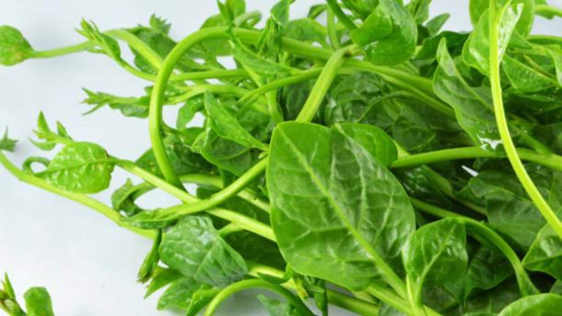 Ceylon spinach: 5 unique ways to enjoy it Ceylon spinach: 5 unique ways to enjoy it