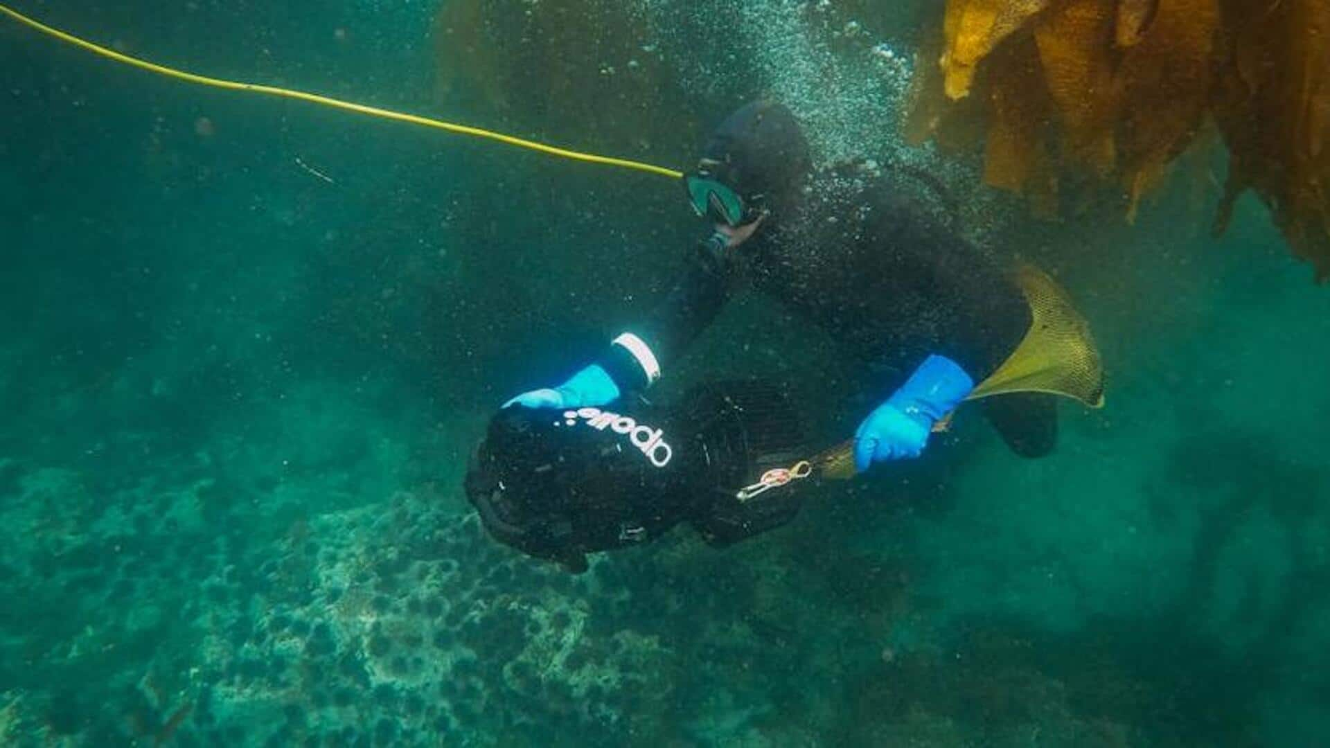 Snorkeling in Silfra: Iceland's underwater marvel