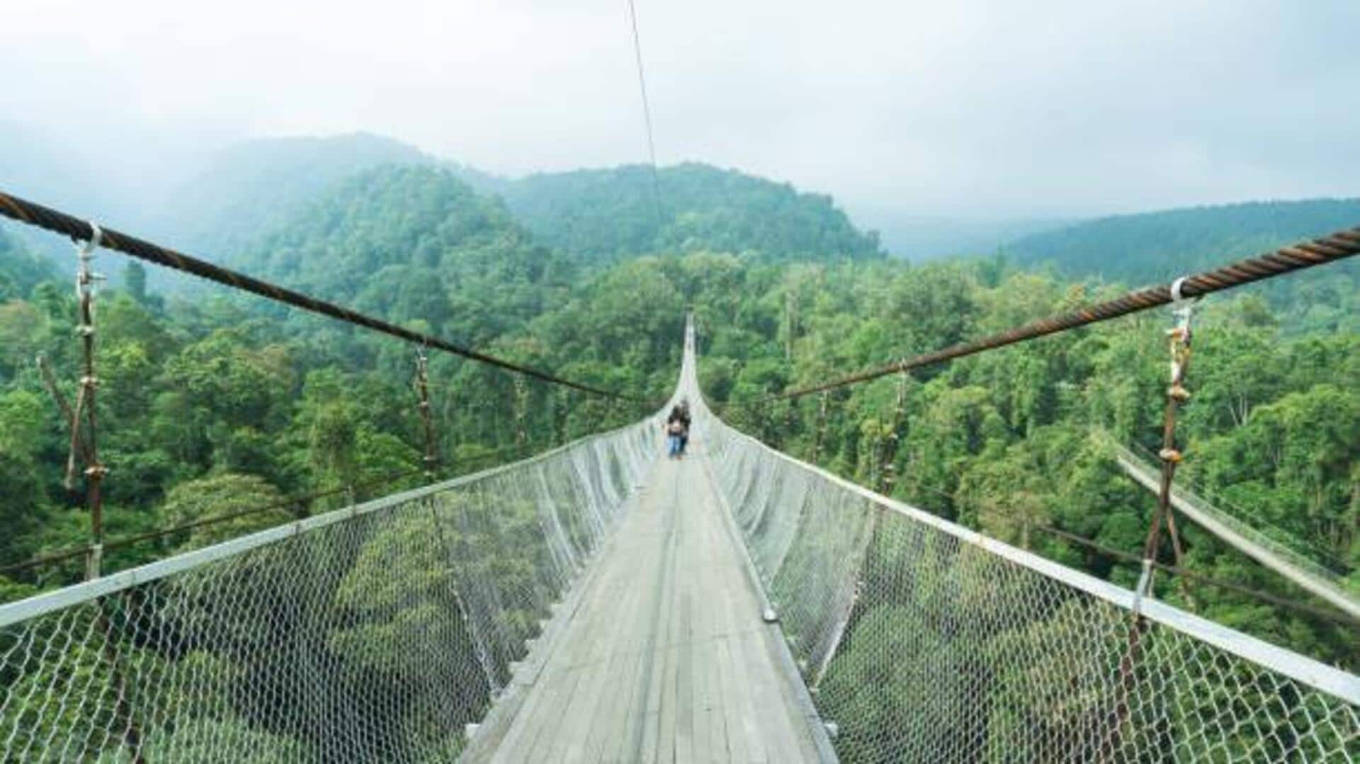 Aurora canopy walks: A treetop adventure like no other 