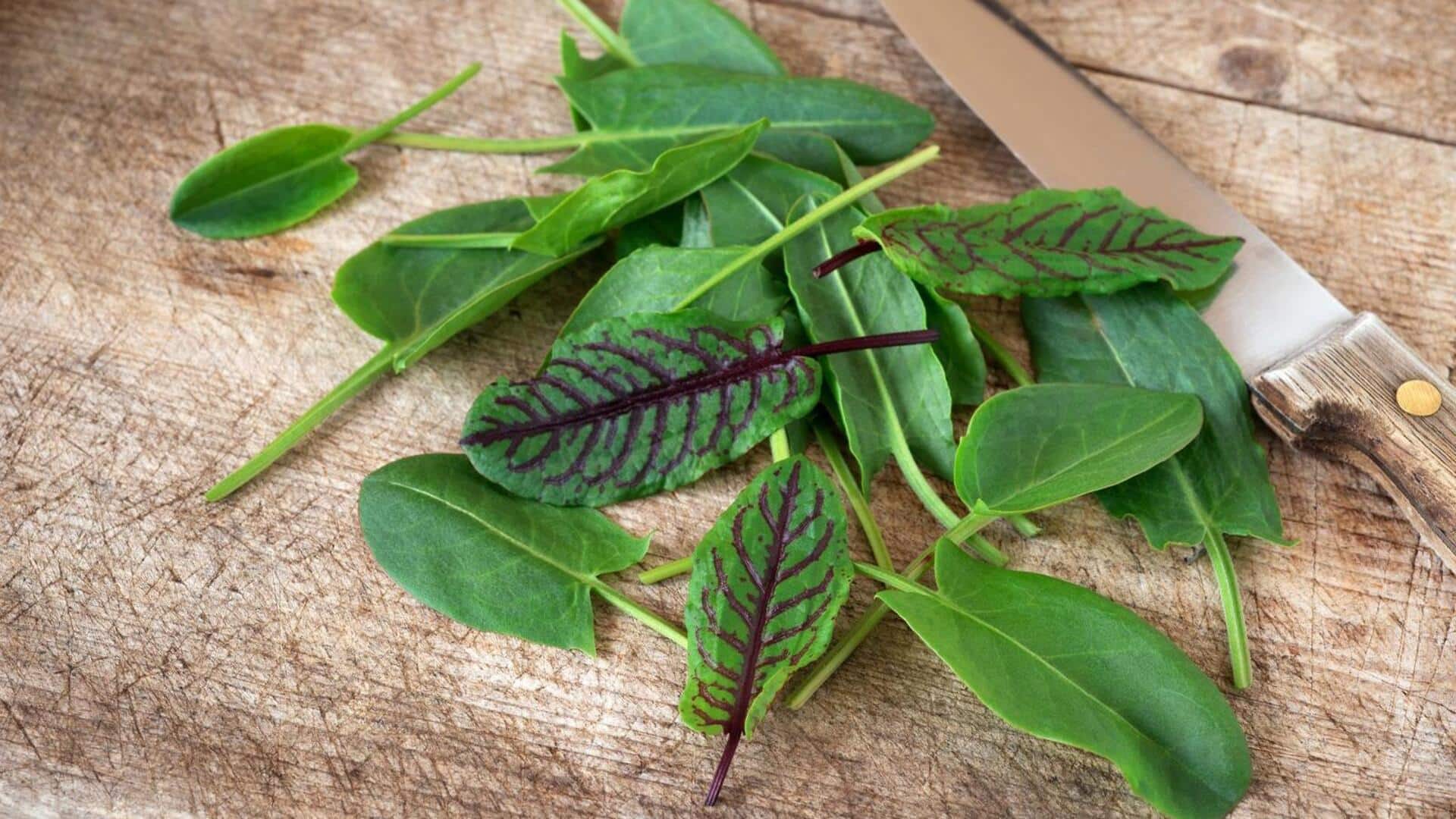 Red sorrel: How to add this superfood to your diet