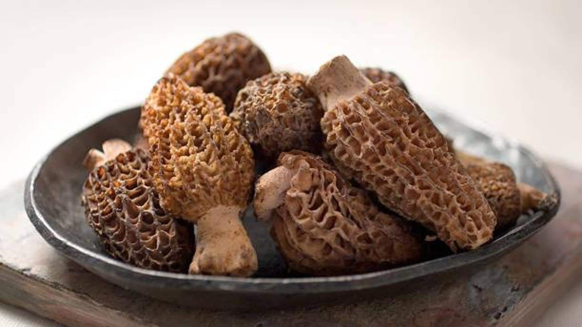 Morel mushrooms: A gourmet ingredient you need to try 