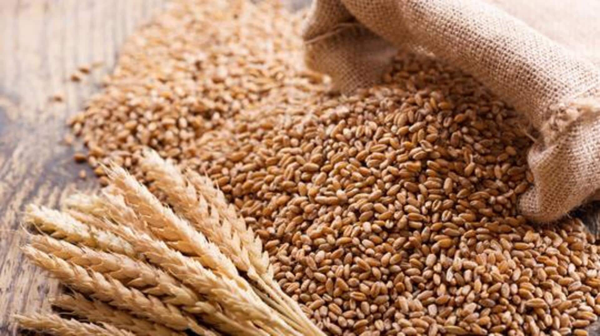 What is wheat berry? Why should you know about it?