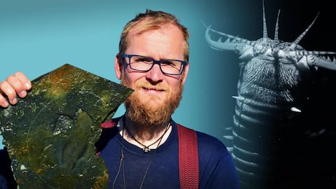 500-million-year-old 'giant' predator worms discovered in Greenland