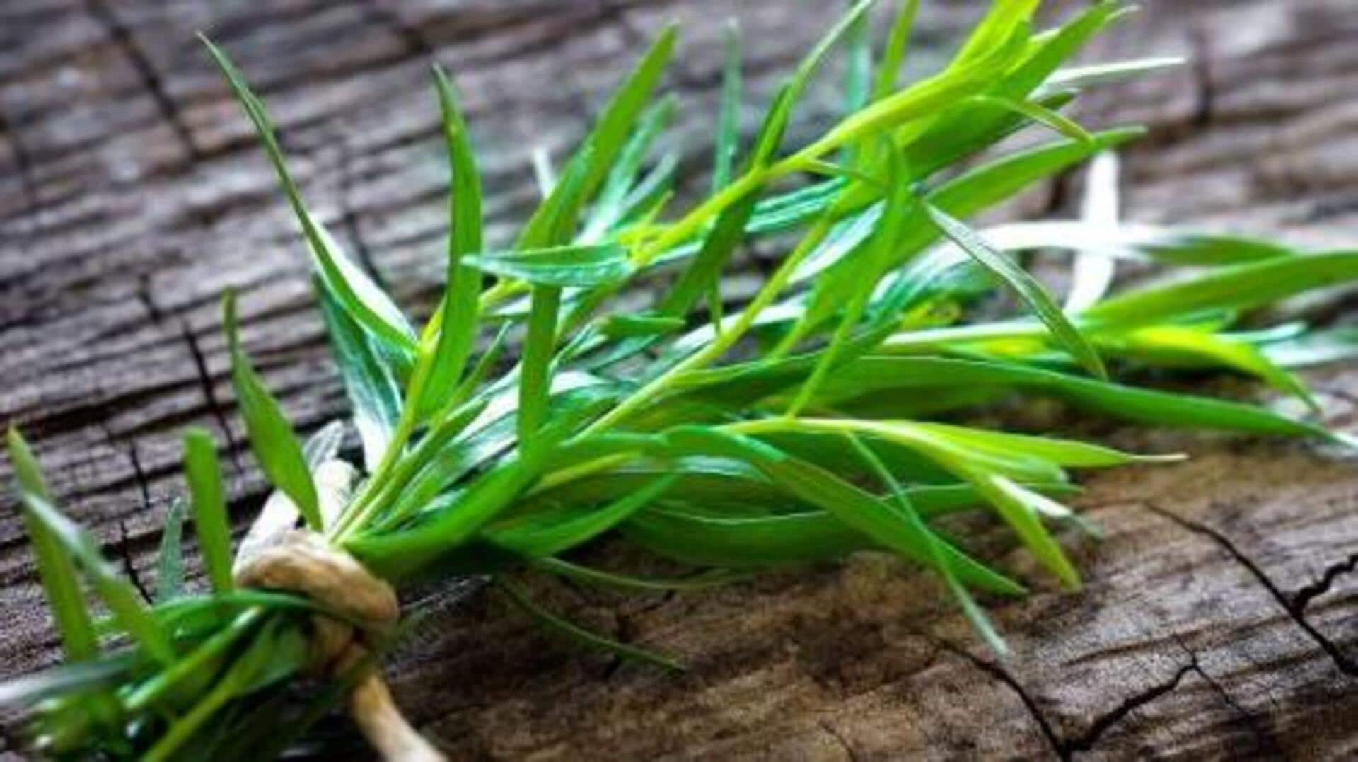 5 delicious ways to cook with tarragon