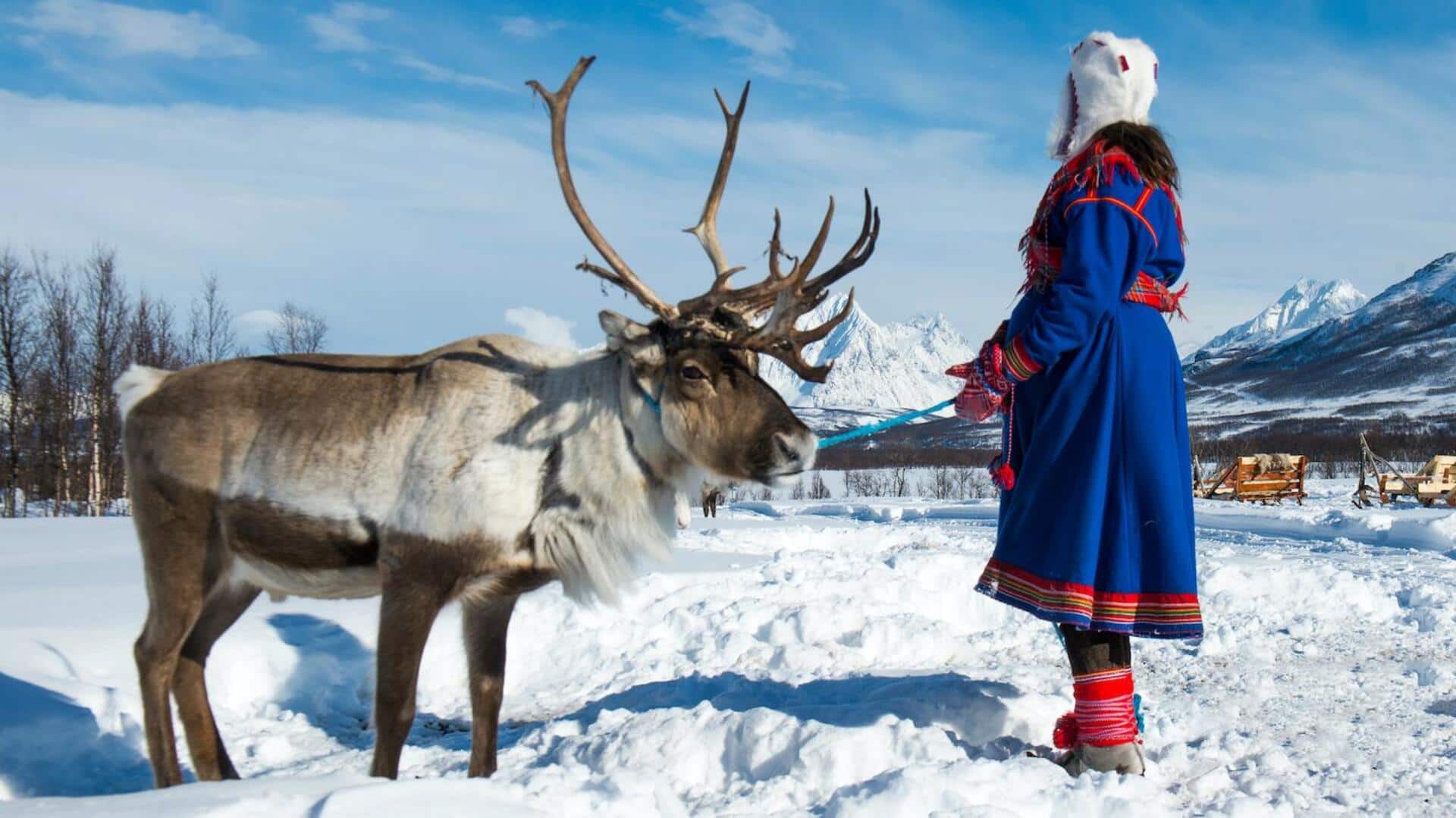 Reindeer herding: A timeless Sami tradition