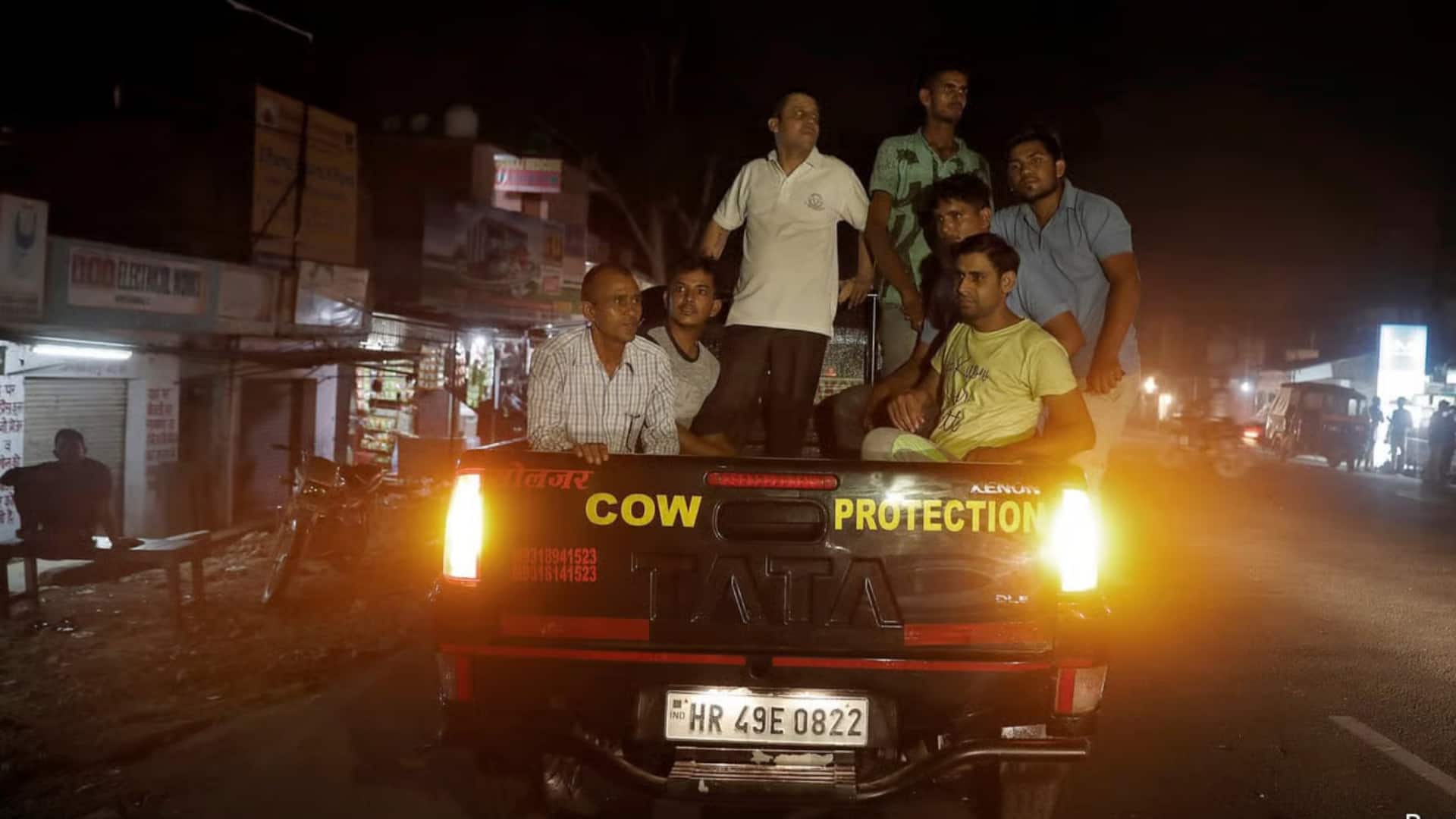 Court notifies Haryana over PIL challenging cow protection law 