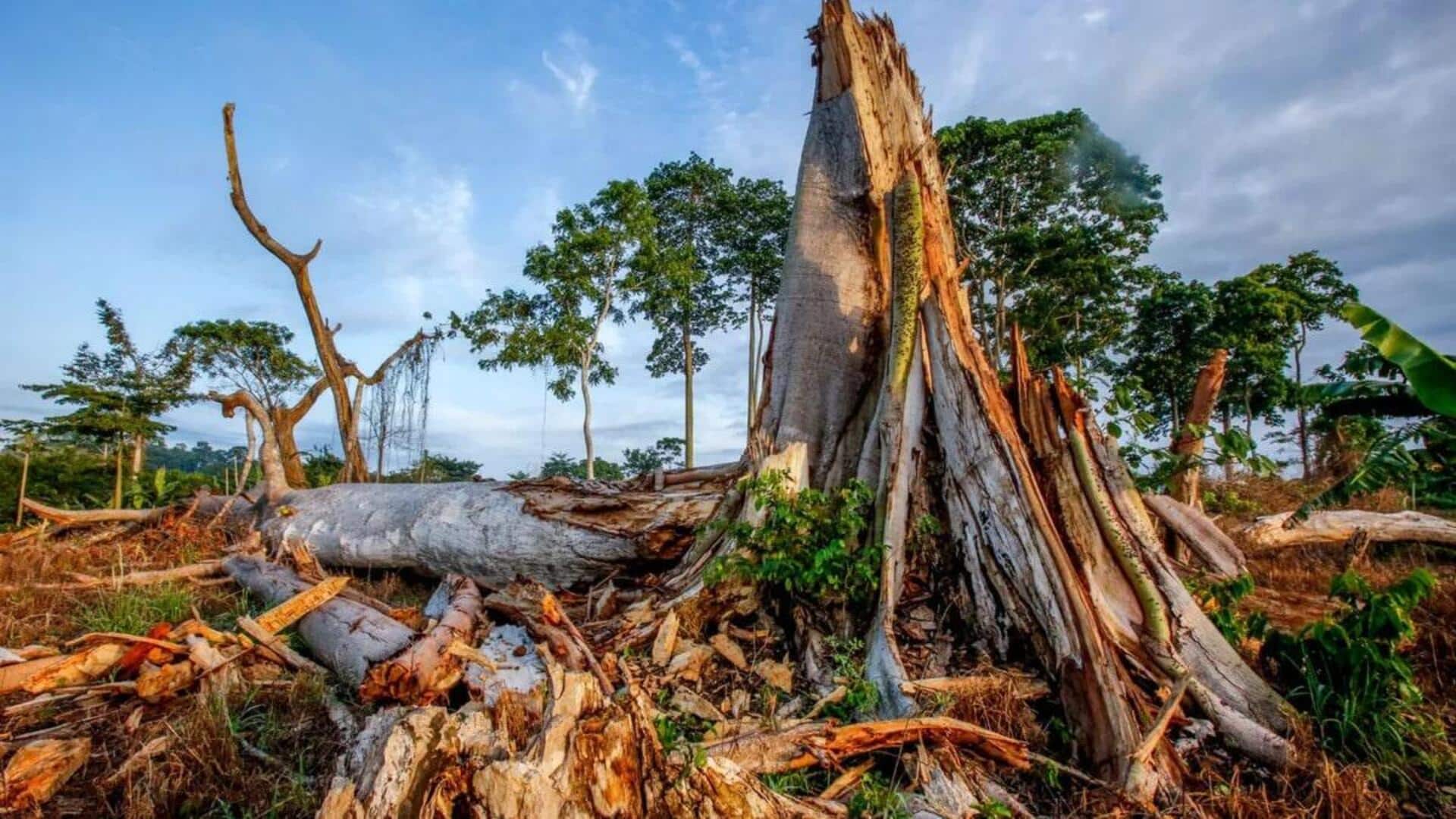 If environmental issues keep you awake, read these books