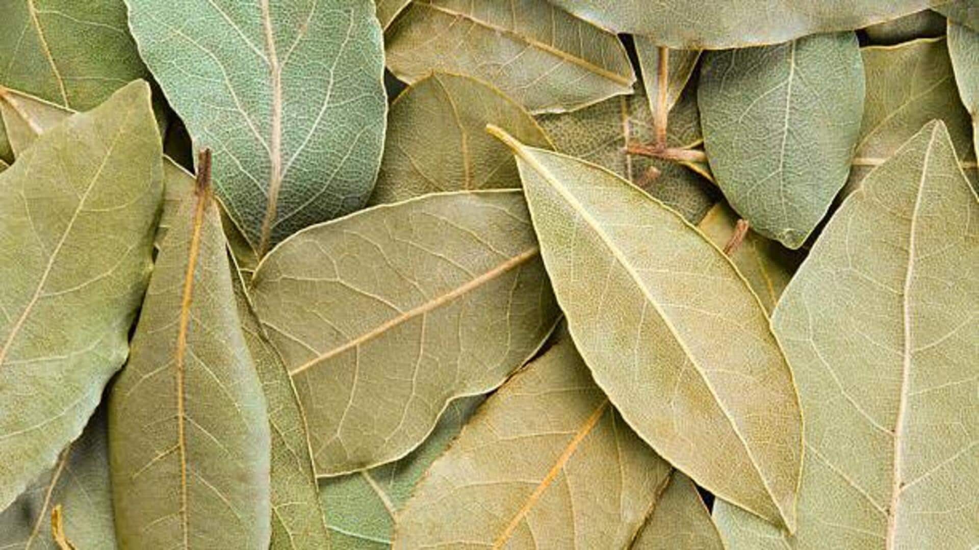 Know your bay leaves: Types and culinary uses 