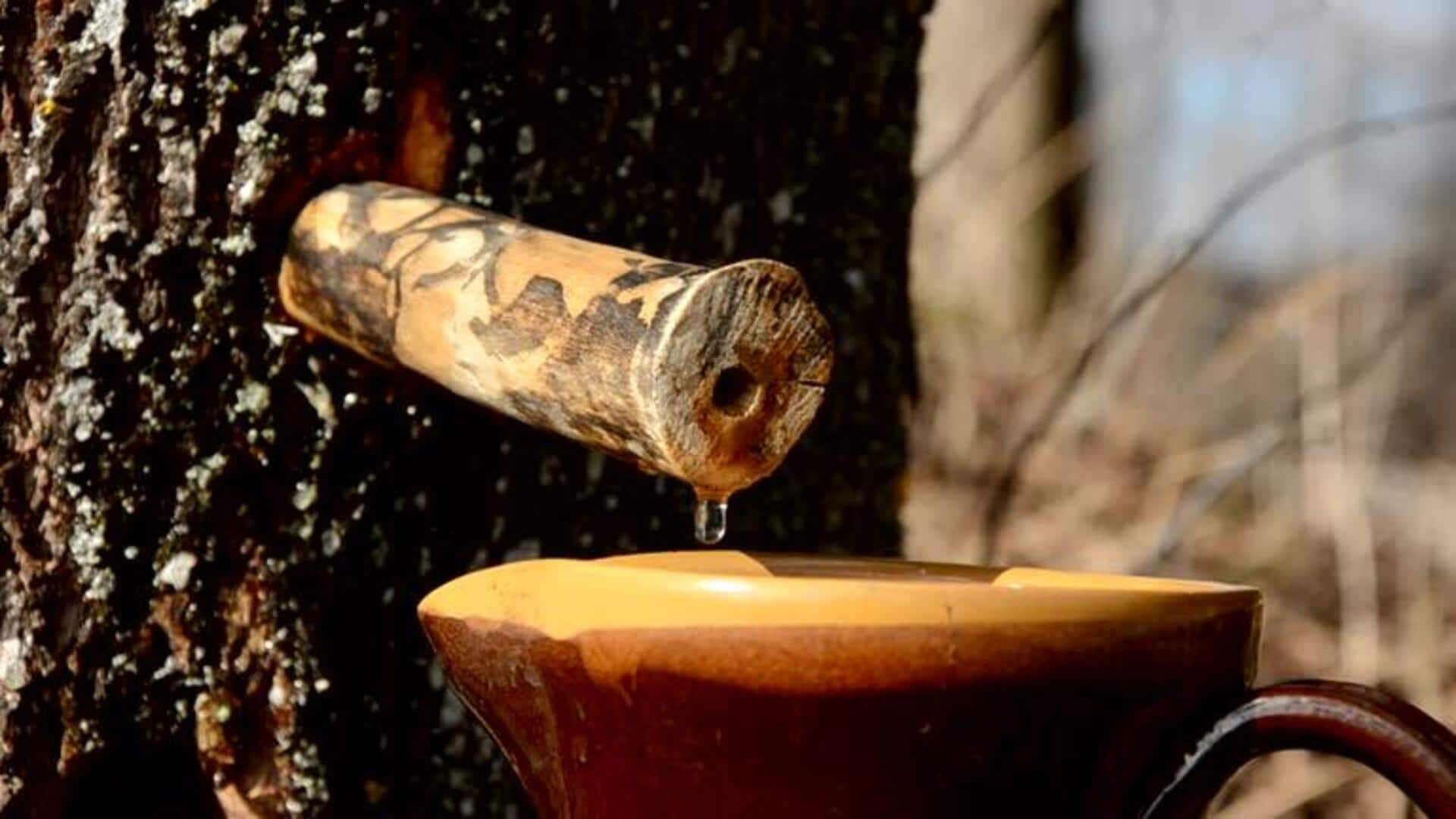 5 ways to use African maple sap in your cooking 