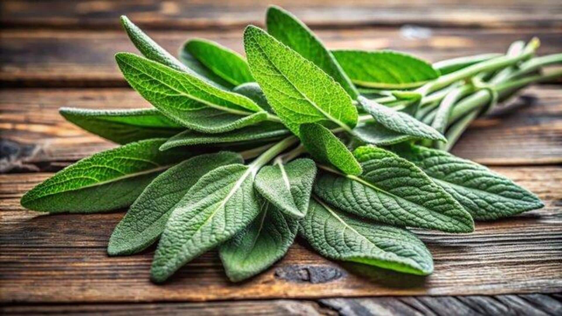 How sage is used in traditional healing 