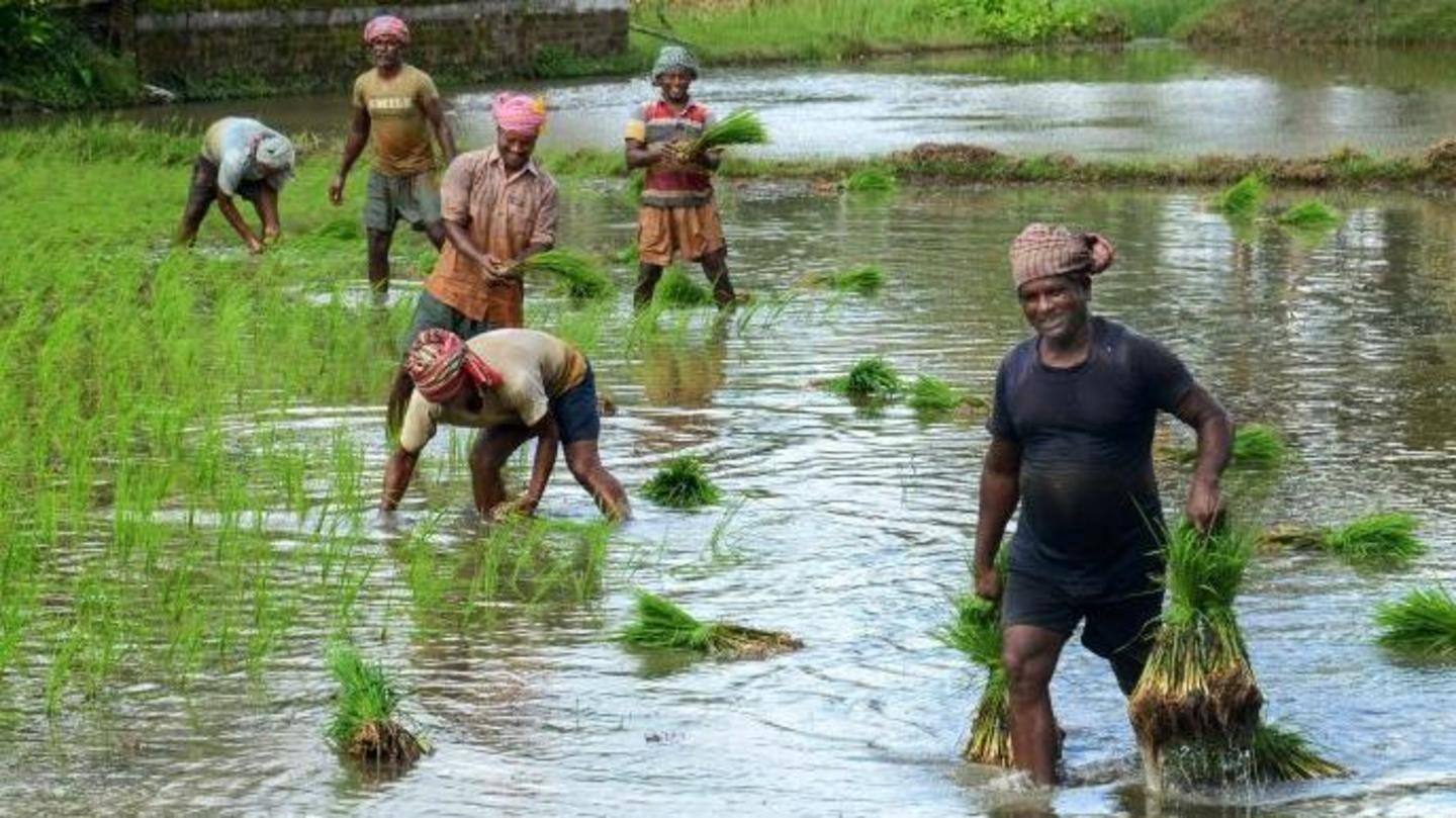 'Over seven lakh farmers in West Bengal benefited first time' 'Over seven lakh farmers in West Bengal benefited first time'