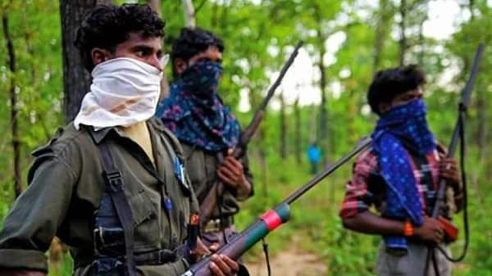 Karnataka declared 'Naxal-free' after last Maoist surrenders