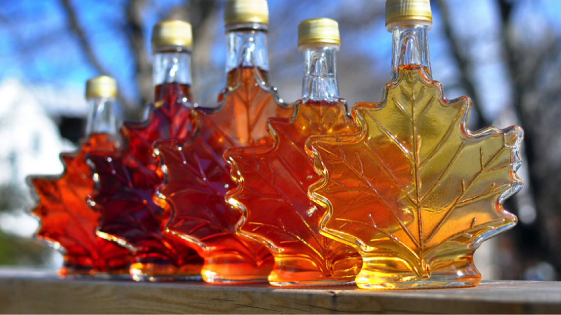 Maple syrup lovers, you'll enjoy these dishes