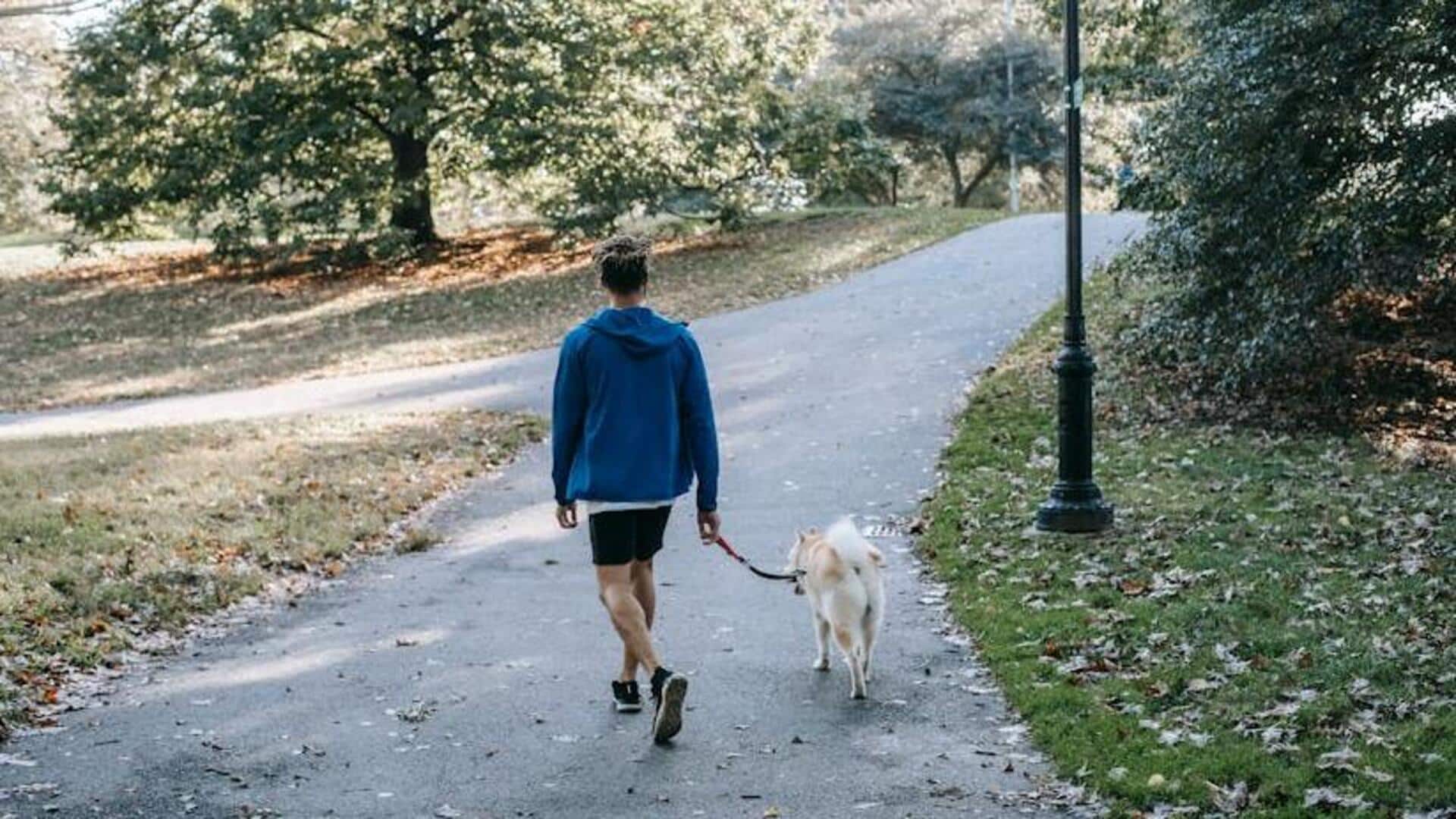 How walking in the park can improve your creativity How walking in the park can improve your creativity
