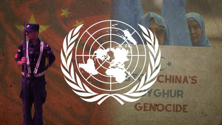 Potential 'crimes against humanity' on Uyghur Muslims in China: UN