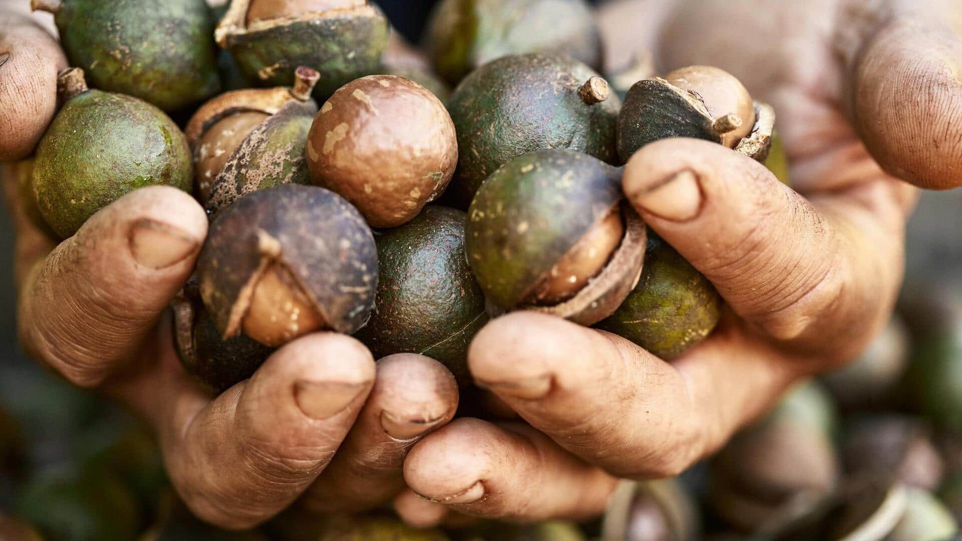 Surprising health benefits of Australia's macadamia nuts