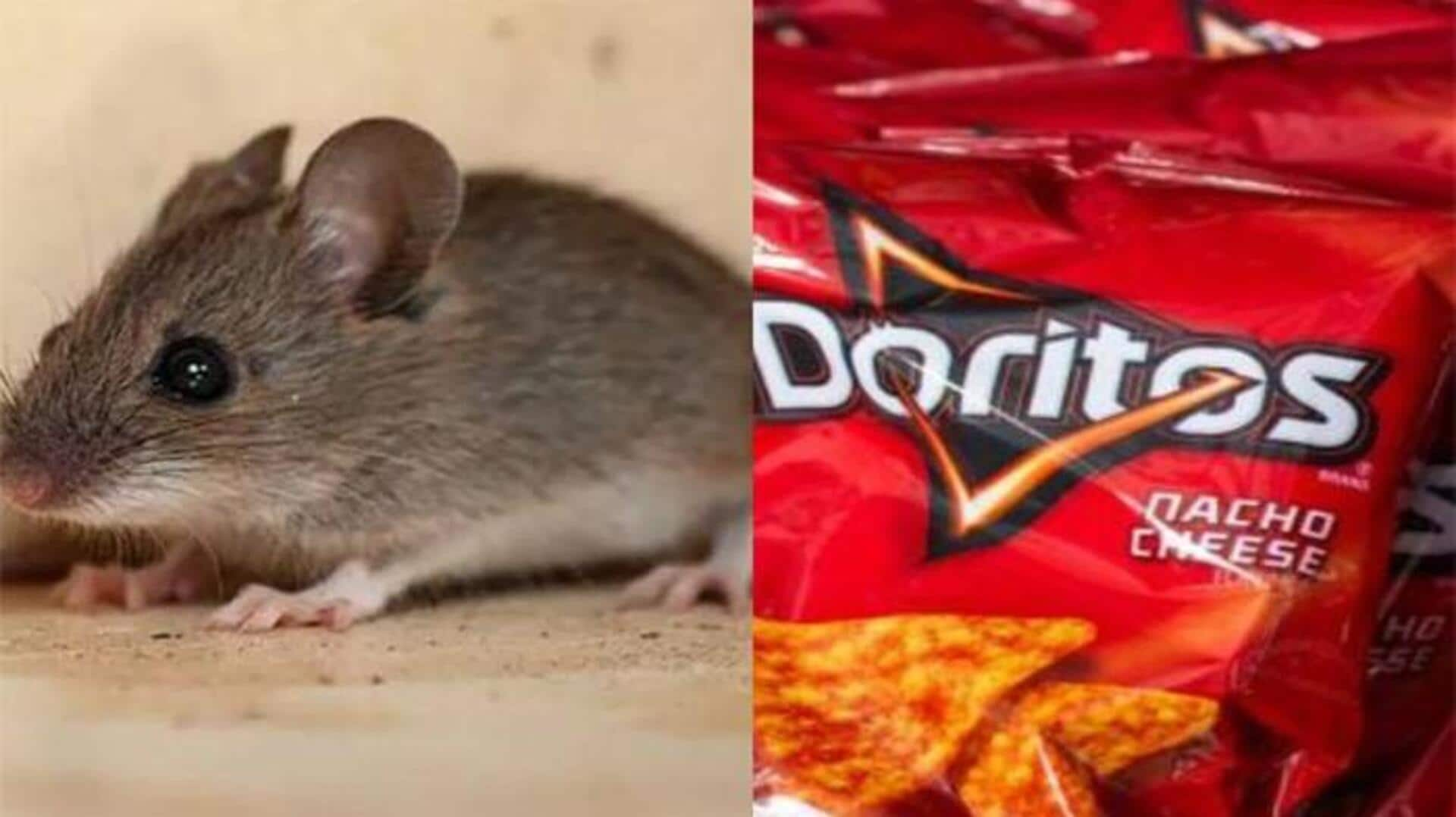 Food dye found in Doritos turns mouse's skin transparent: Study