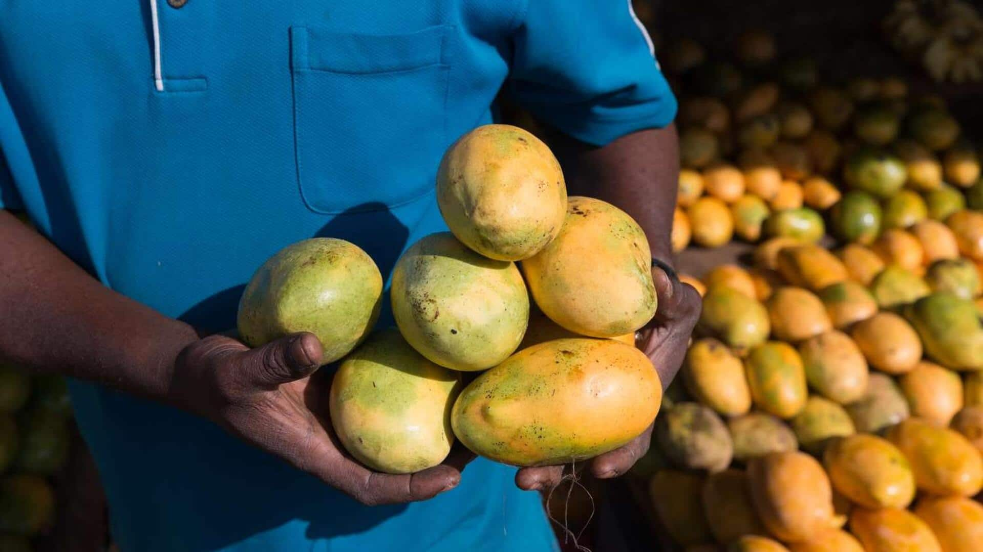 Discovering the African wild mango