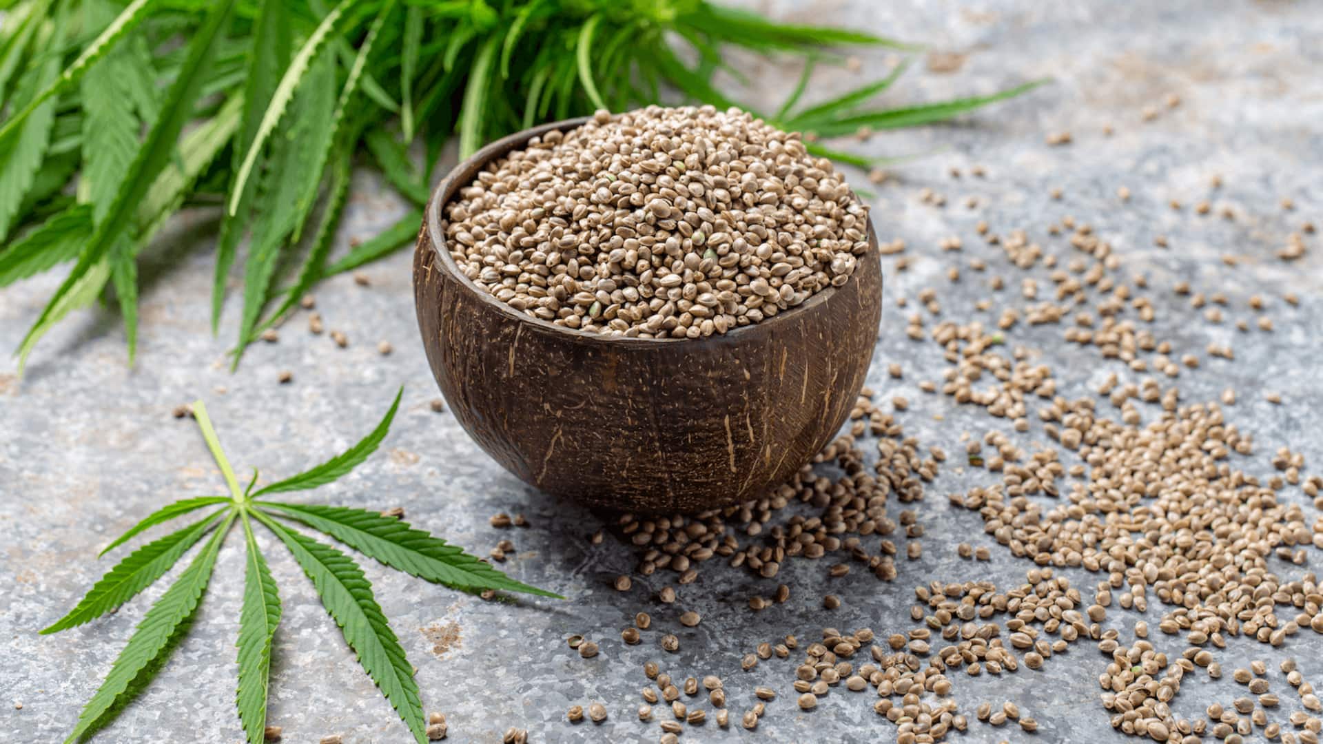How to include hemp seeds in your meals