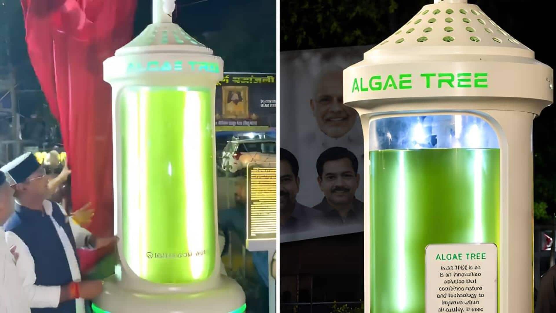Bhopal gets India's 1st 'Algae Tree': How it works
