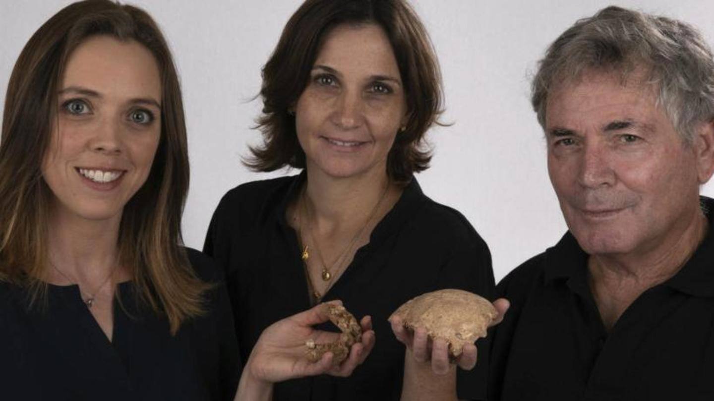 Fossils likely came from a hominin group related to Neanderthals Fossils likely came from a hominin group related to Neanderthals