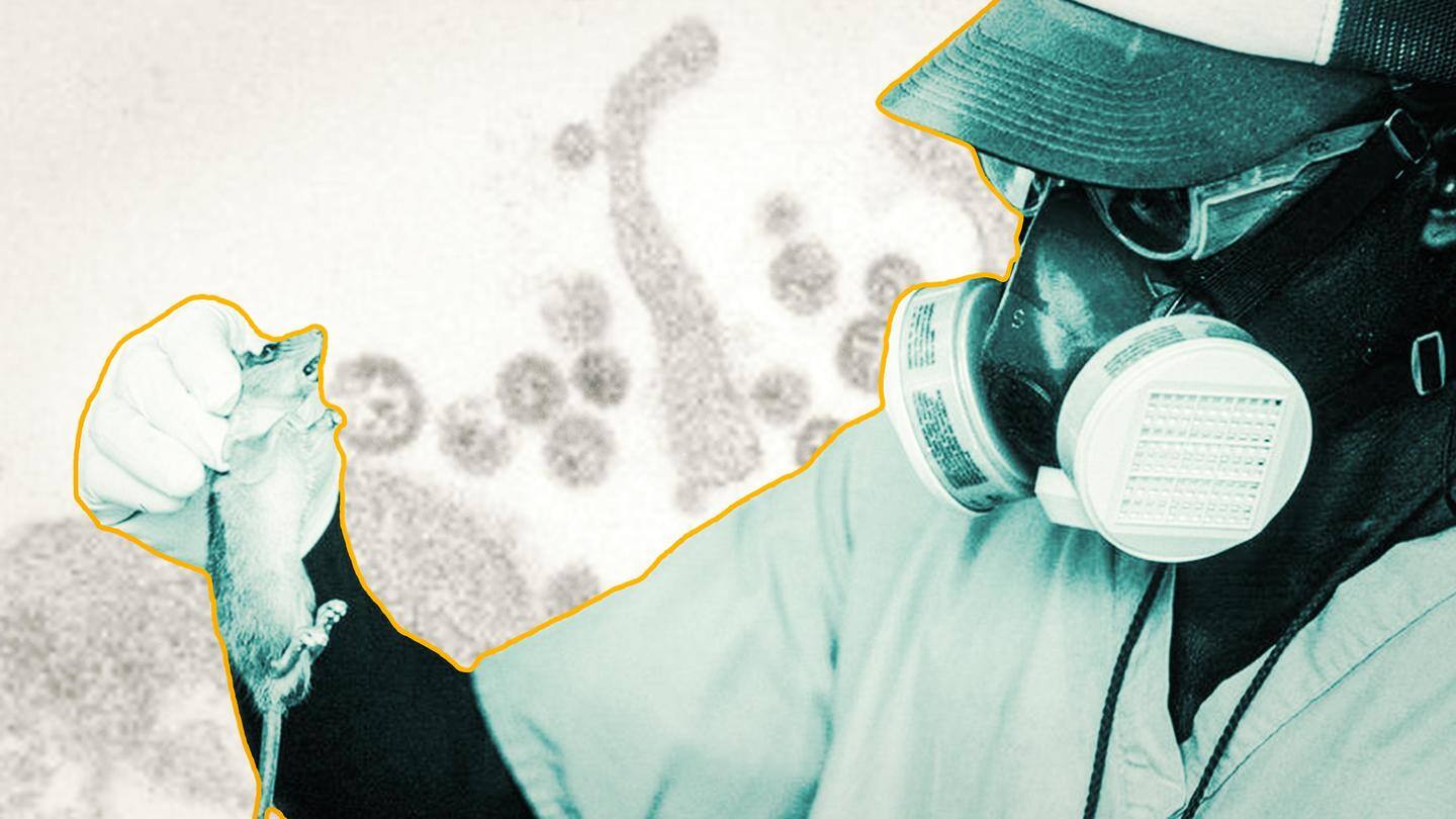 UK reports death from Lassa fever. What is it?