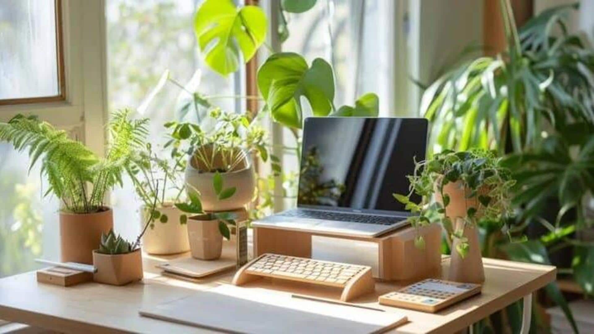 5 tips to revive your office plants