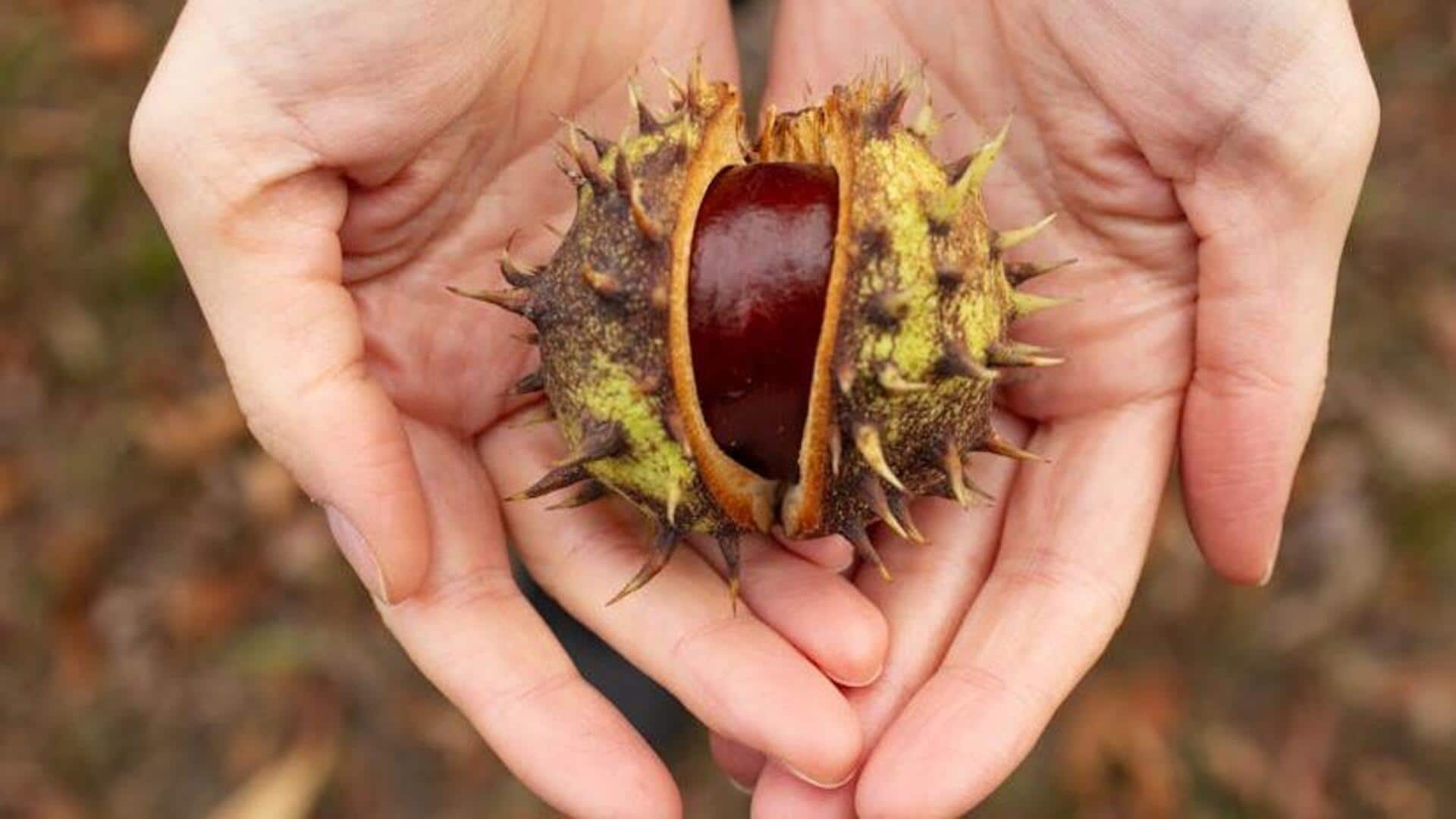Chestnuts v/s hazelnuts: Which is healthier?