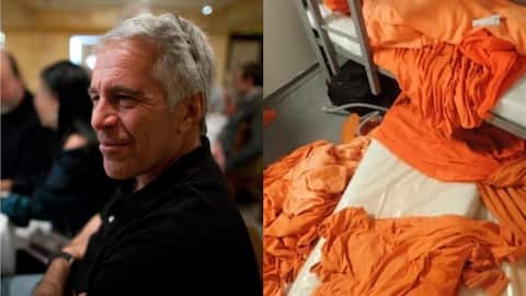 Jeffrey Epstein death: Pathologist calls for fresh investigation