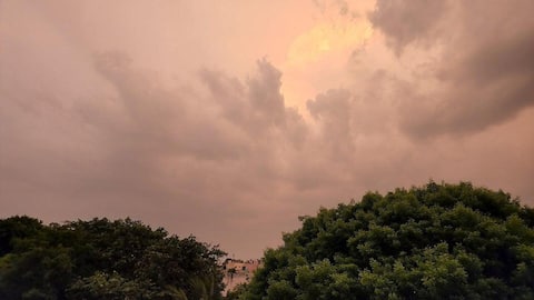 El Niño 2026 may weaken monsoon, raise drought risk: IMD