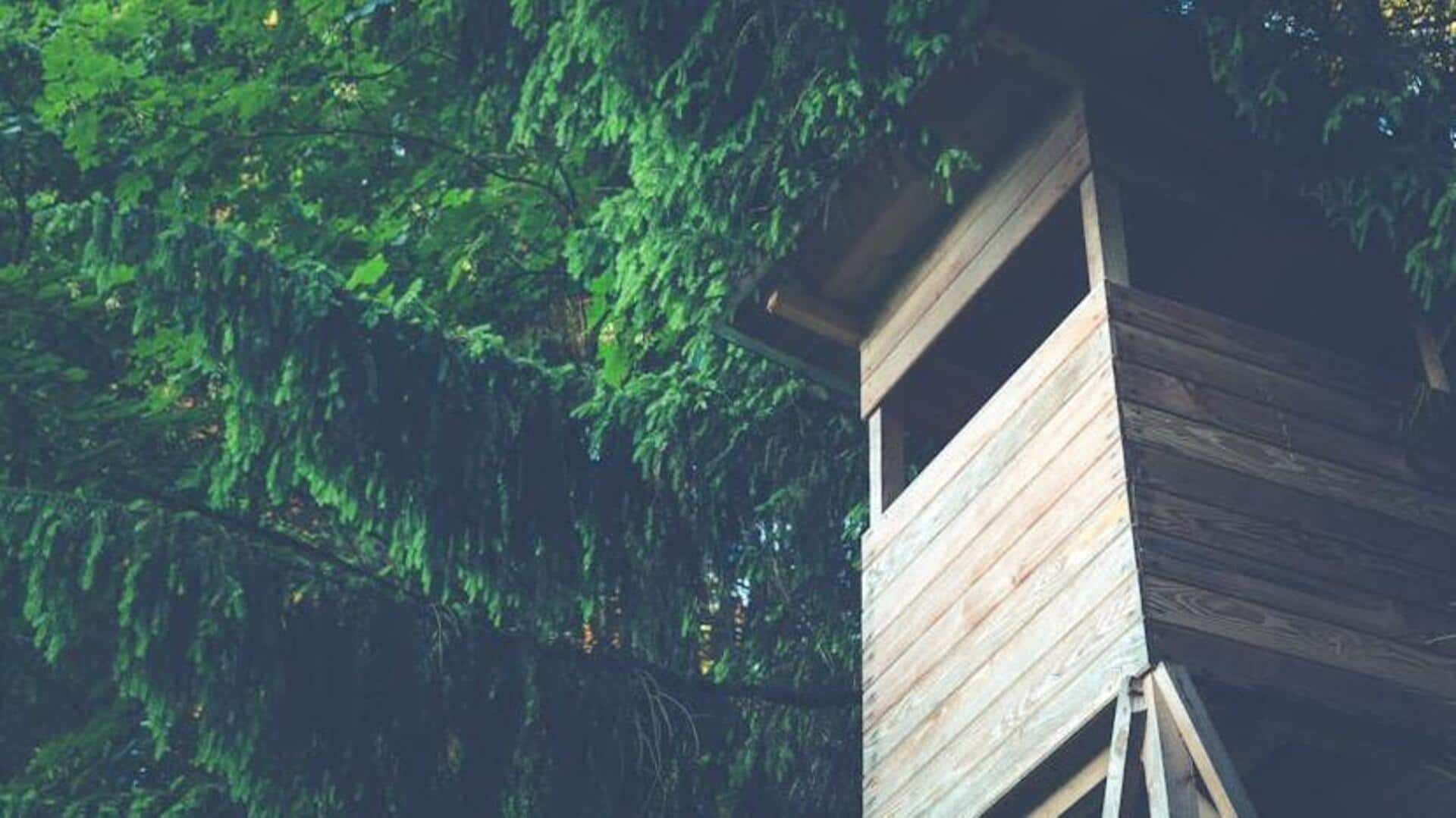 Declutter your treehouse for magical retreats