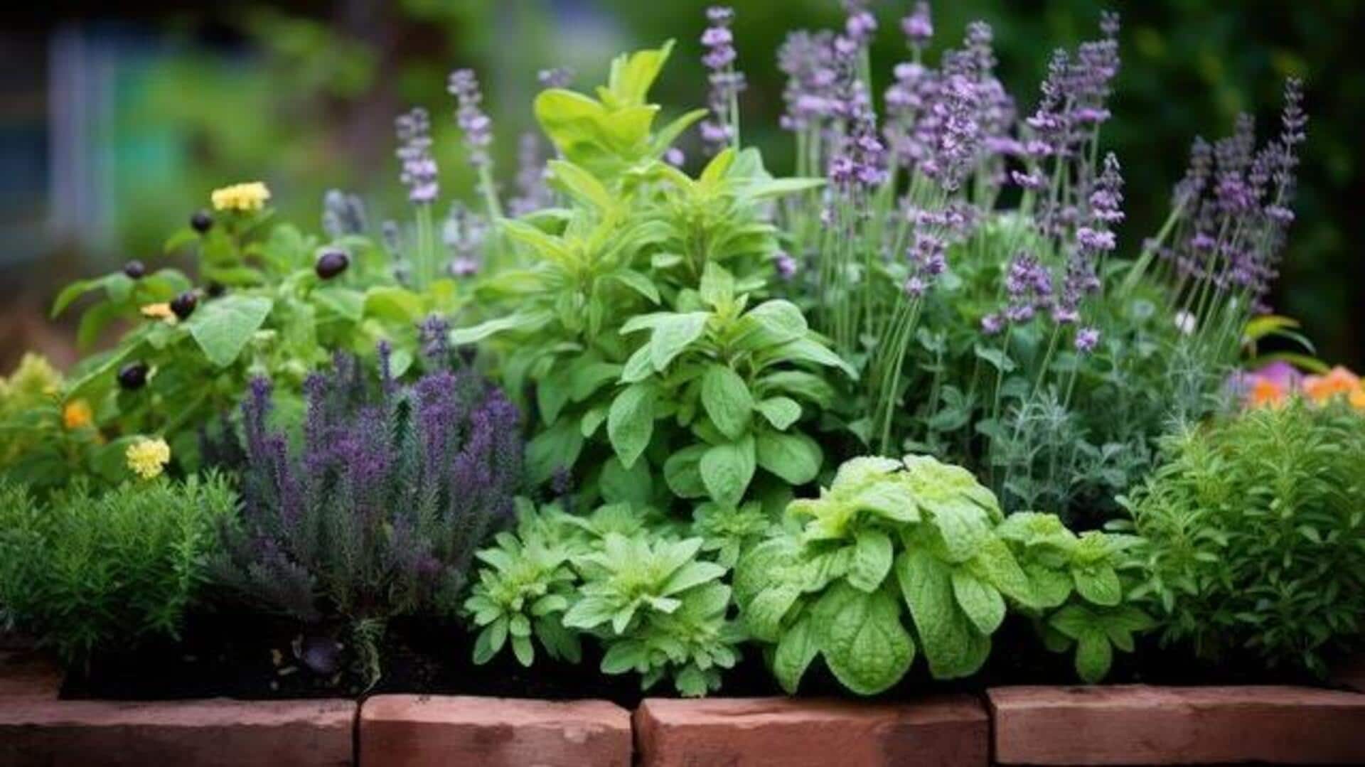5 plant combinations to avoid in indoor gardening 