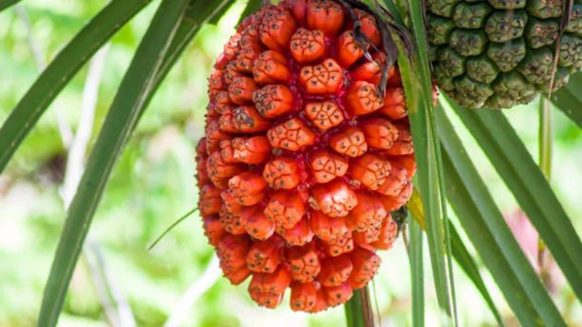 Pandanus fruit: 5 amazing health benefits