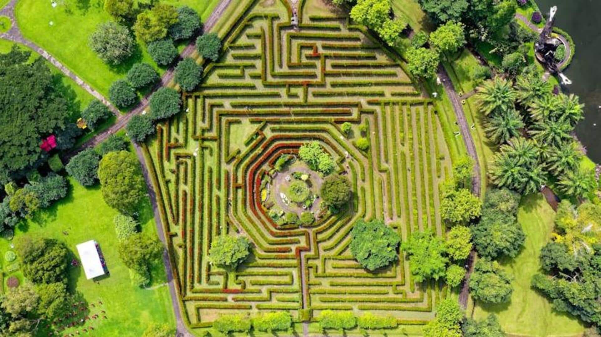 Dive into adventure with these mind-bending mazes