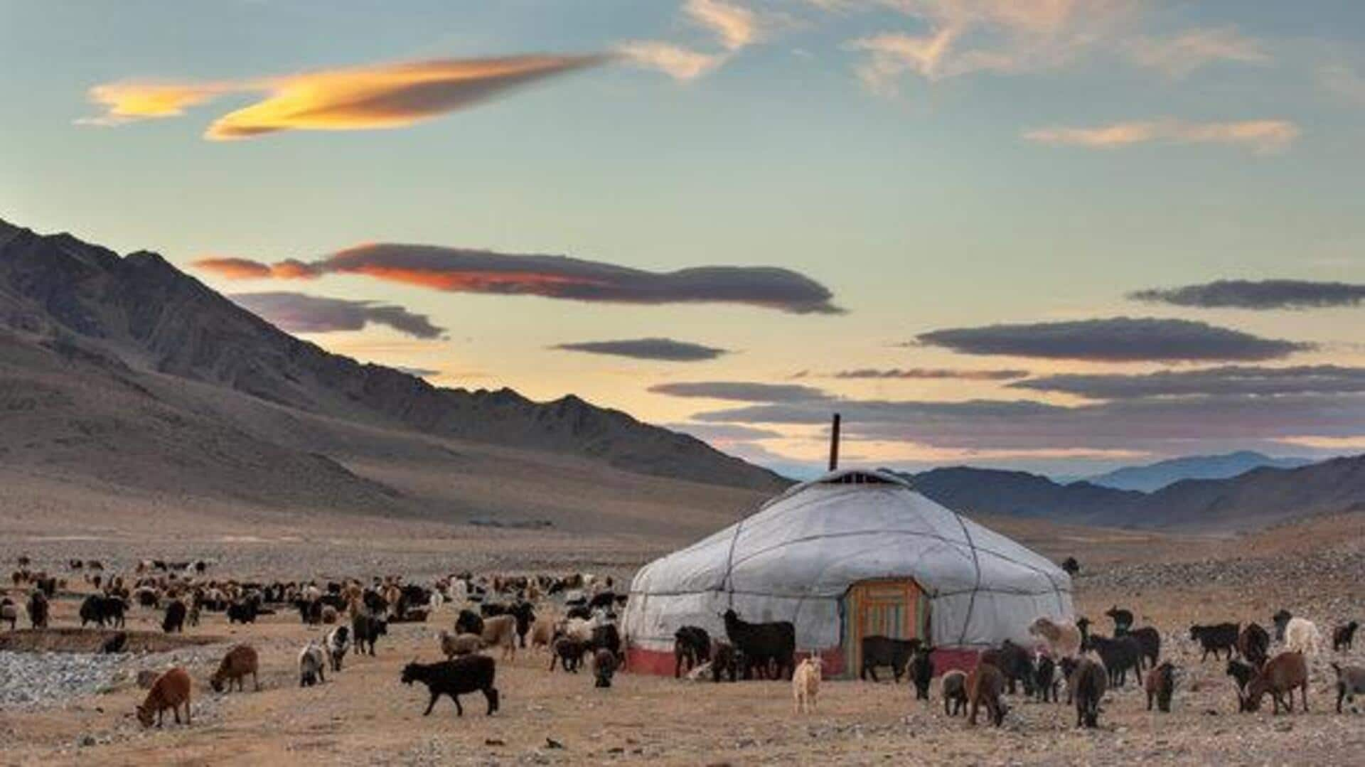 Steppe adventures: Embracing the ancient art of yurt living