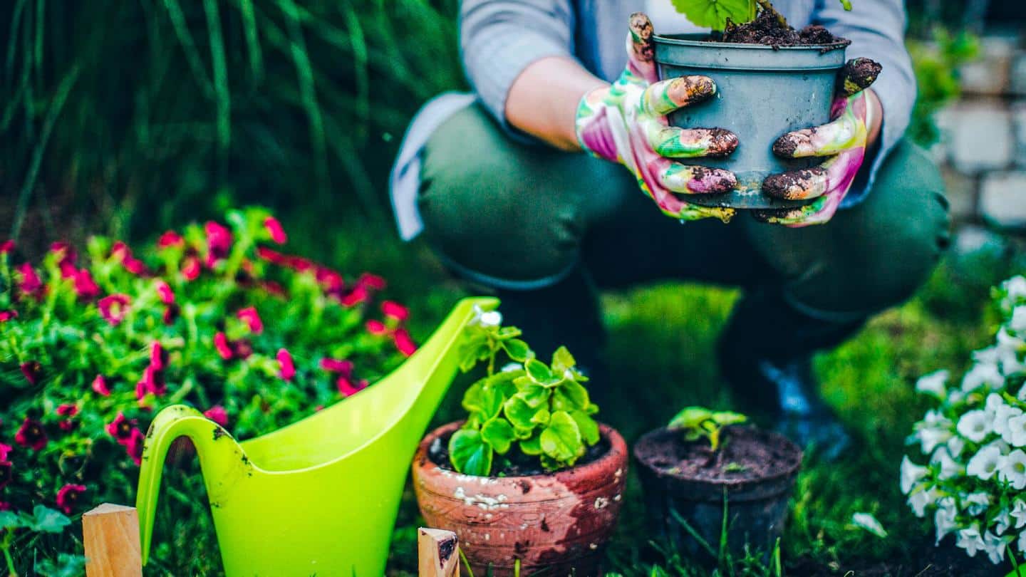 Not blessed with green fingers? Try these gardening hacks