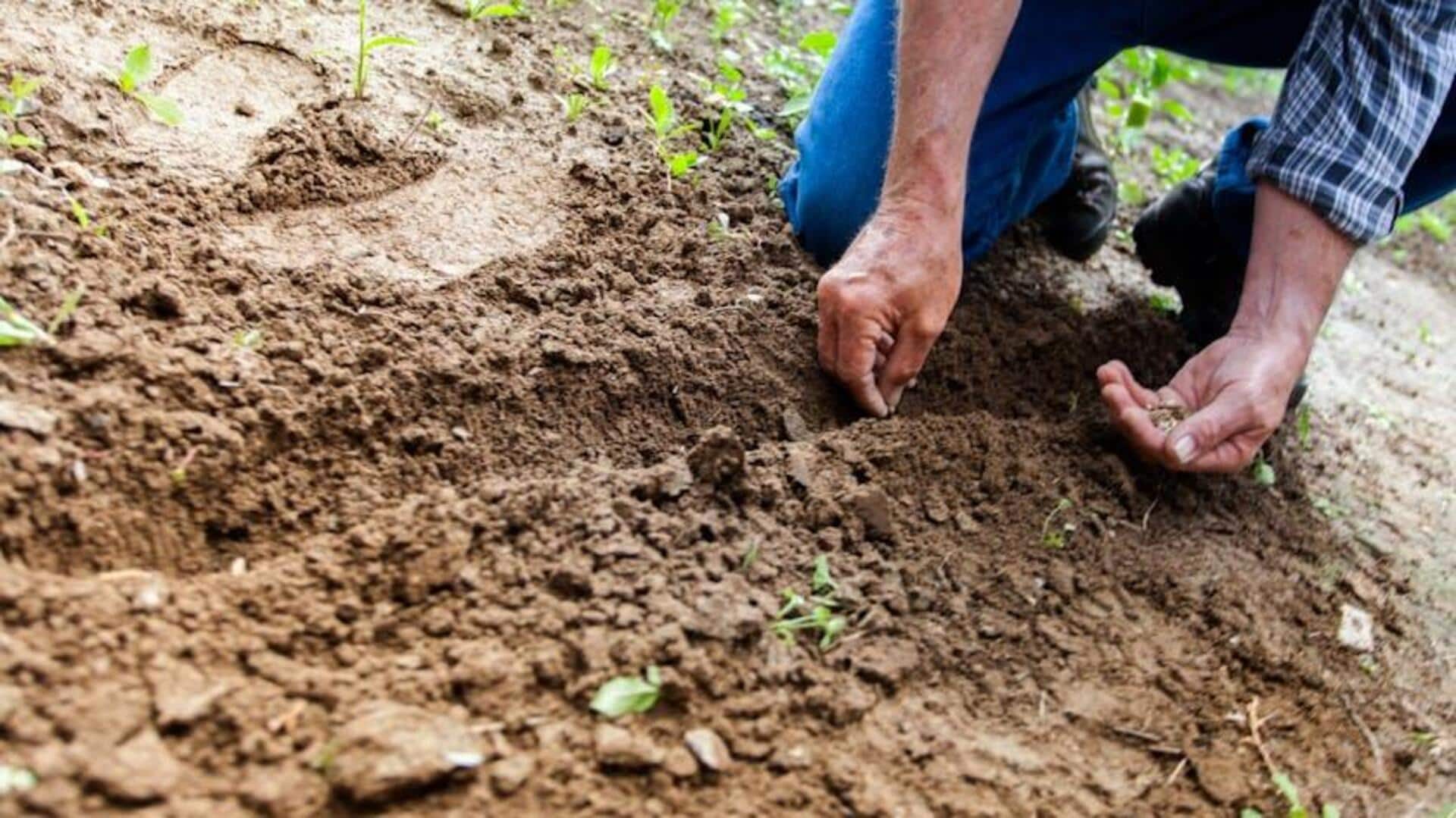 Gardening v/s dancing: Which is better for your metabolism?