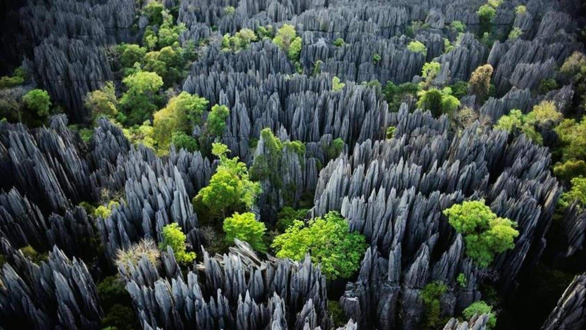 Unveiling Tsingy de Bemaraha's marvels